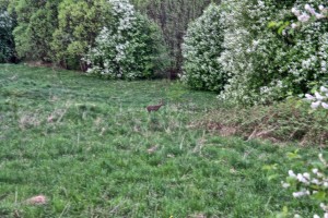 IMG_0037_easyHDR_batch